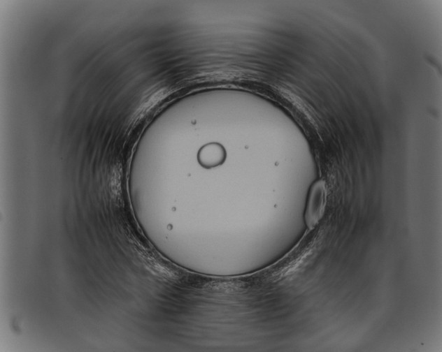 X0000097800778200803281034