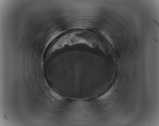 X0000097800779200803281034