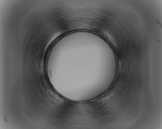 X0000097800780200803281034