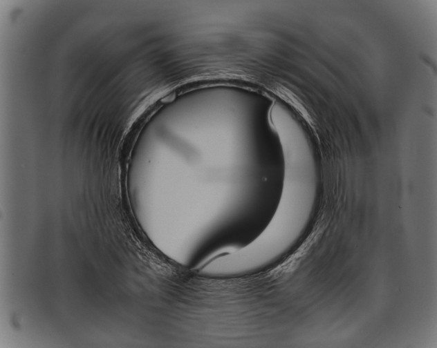 X0000097800781200803281034