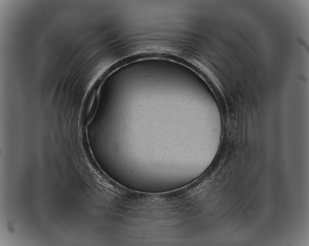 X0000097800783200803281034