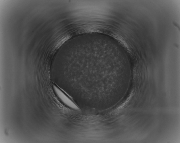 X0000097800785200803281034