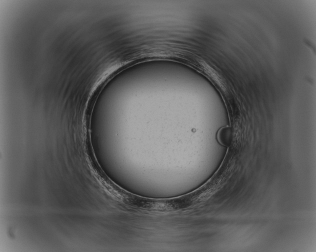 X0000097800787200803281034