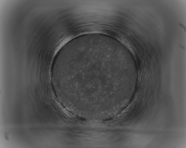 X0000097800789200803281034