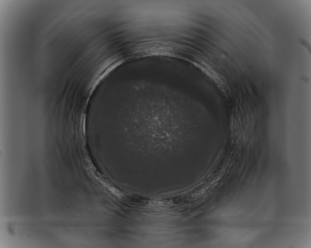 X0000097800790200803281034