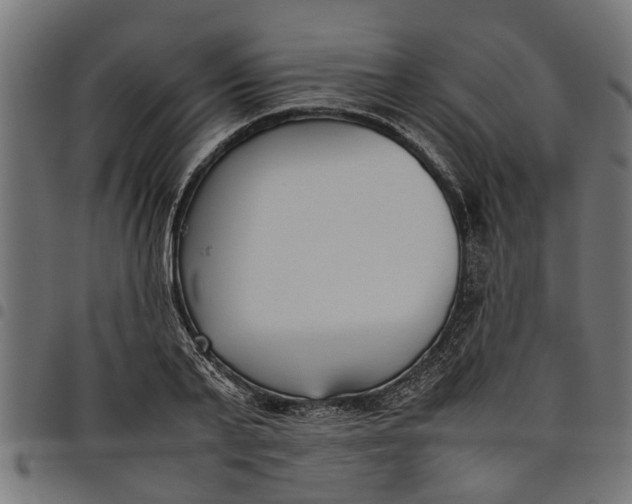 X0000097800791200803281034