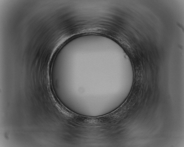 X0000097800792200803281034