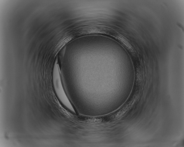 X0000097800793200803281034