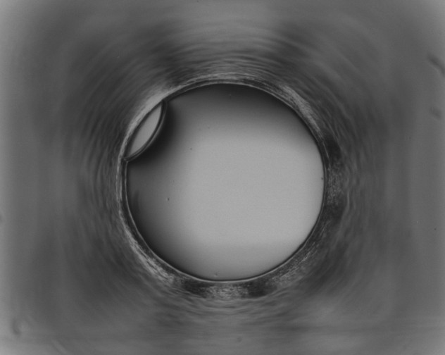 X0000097800795200803281034