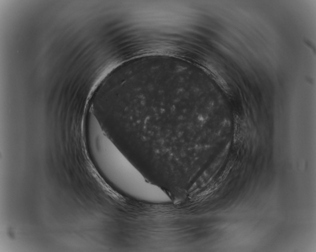 X0000097800796200803281034