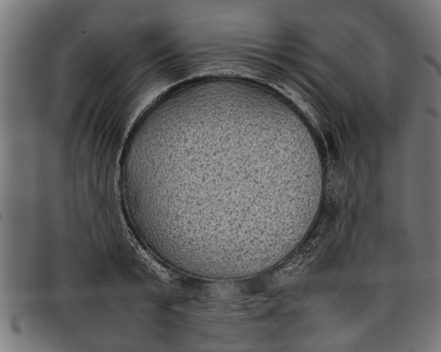 X0000097800799200803281034