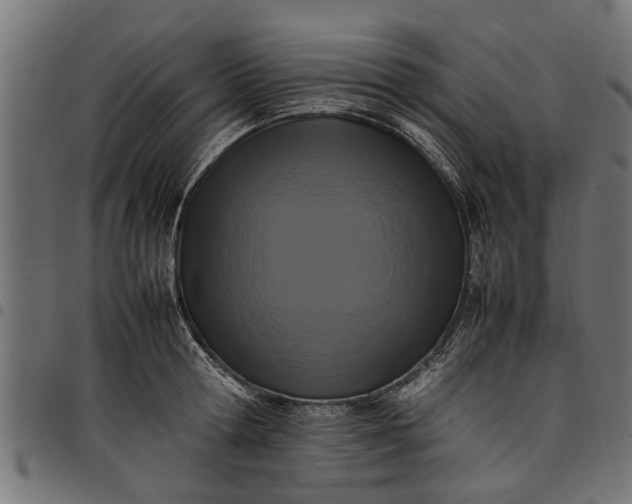 X0000097800802200803281034