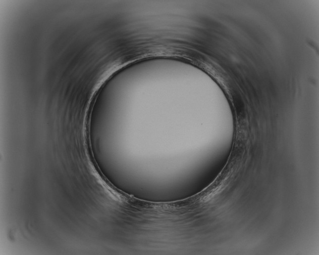 X0000097800803200803281034