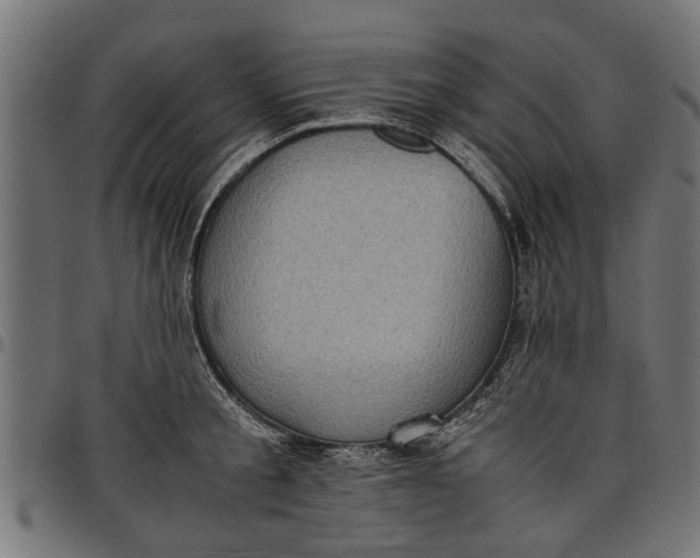 X0000097800805200803281034