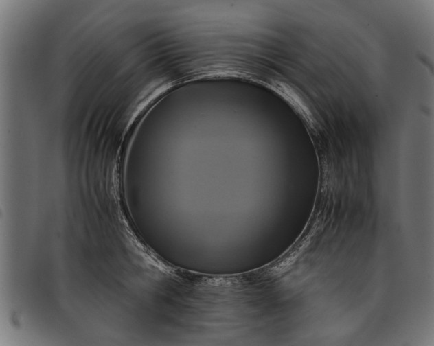 X0000097800806200803281034