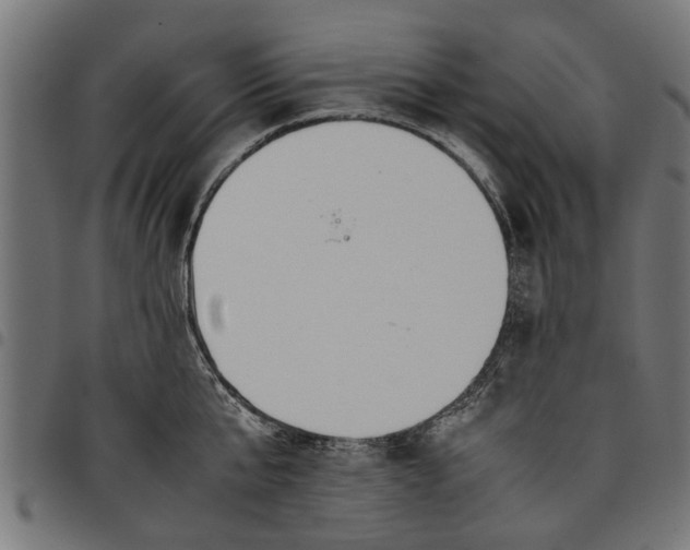 X0000097800807200803281034