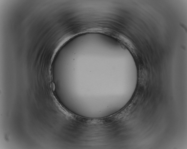 X0000097800808200803281034