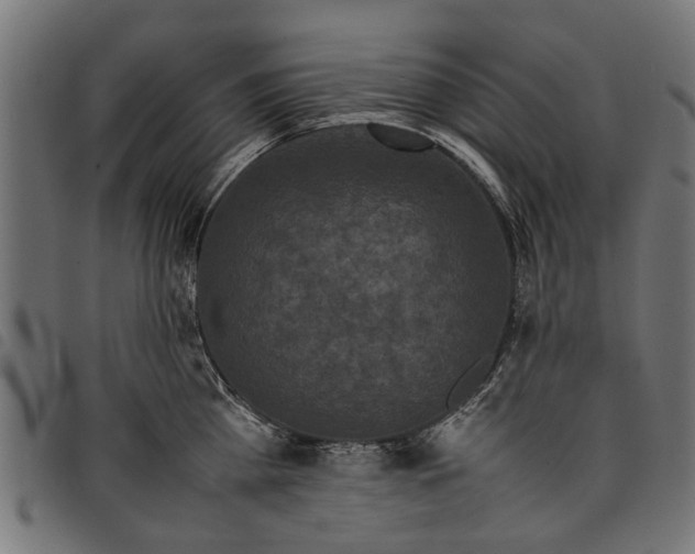 X0000097800809200803281034