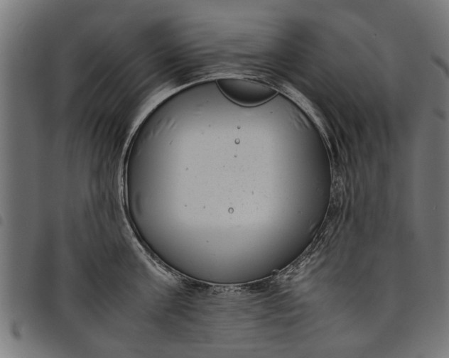 X0000097800811200803281034