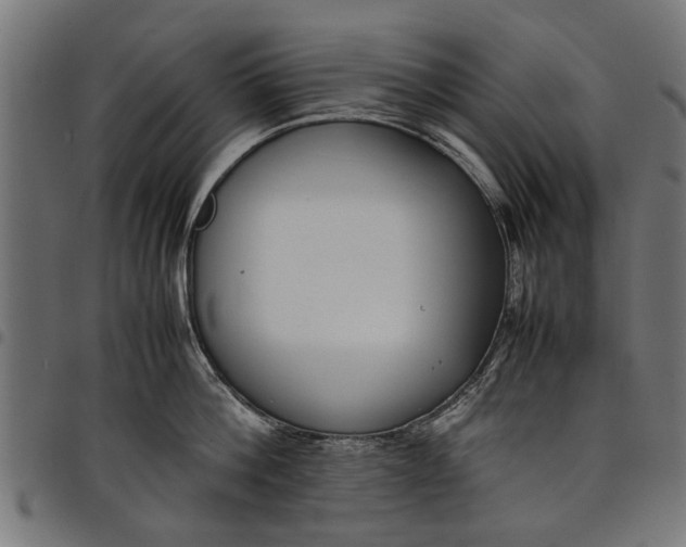 X0000097800812200803281033