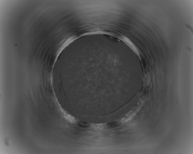 X0000097800813200803281033