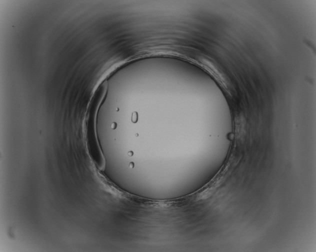 X0000097800814200803281033