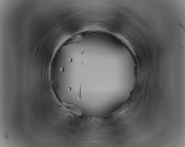 X0000097800815200803281033