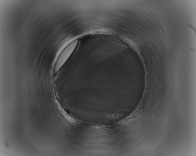 X0000097800816200803281033