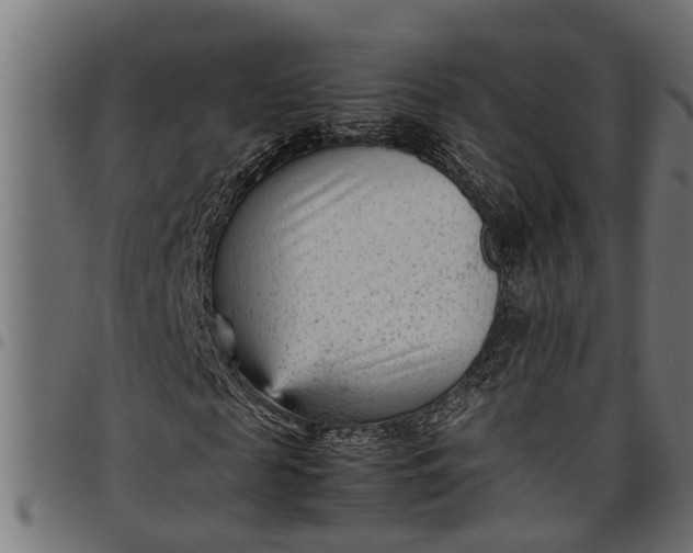 X0000097800817200803281033