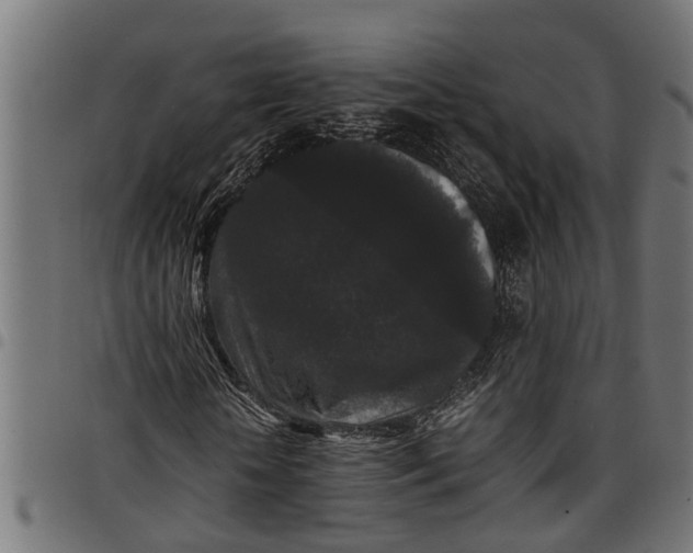 X0000097800818200803281033