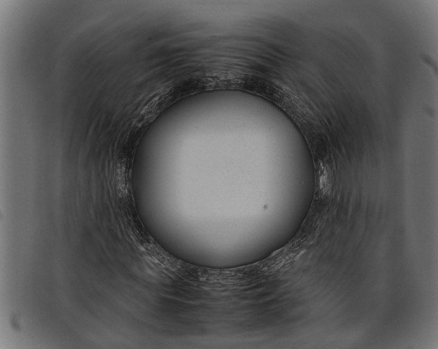 X0000097800819200803281033