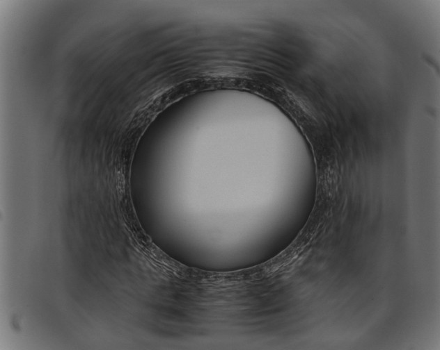 X0000097800821200803281033