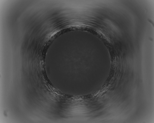 X0000097800822200803281033