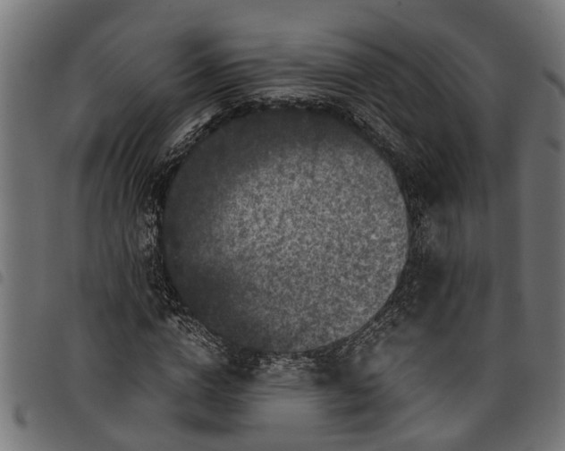 X0000097800824200803281033