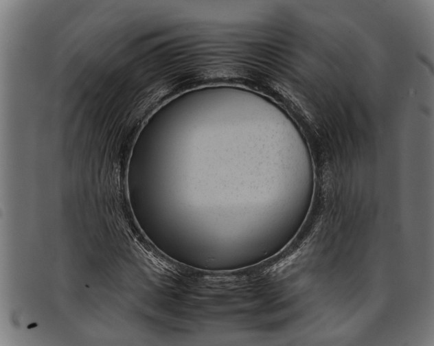 X0000097800825200803281033