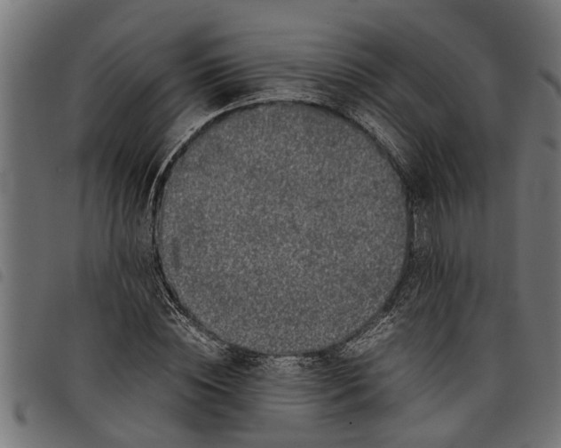 X0000097800828200803281033