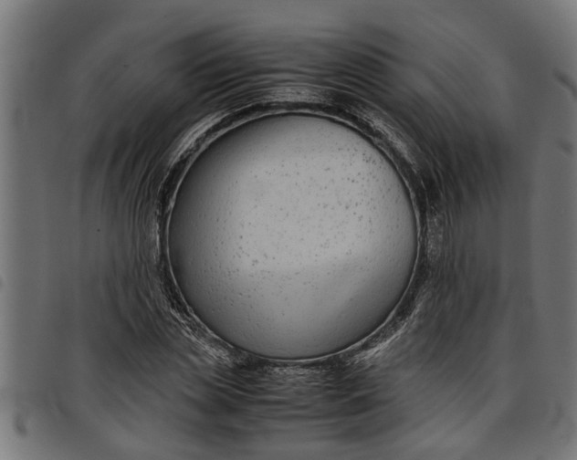 X0000097800829200803281033