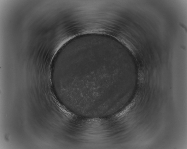 X0000097800830200803281033