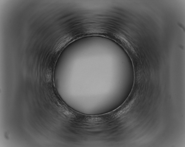 X0000097800833200803281033