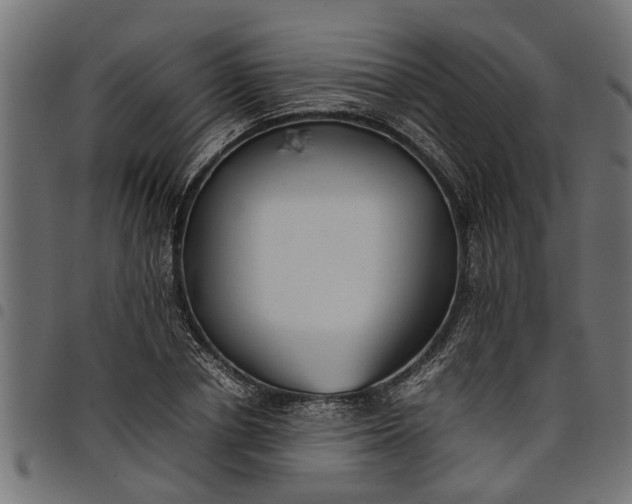 X0000097800834200803281033