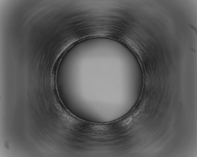 X0000097800835200803281033