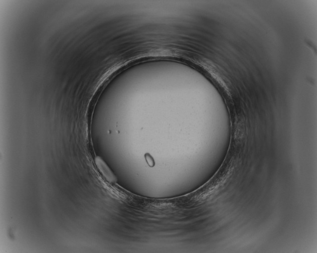 X0000097800837200803281033