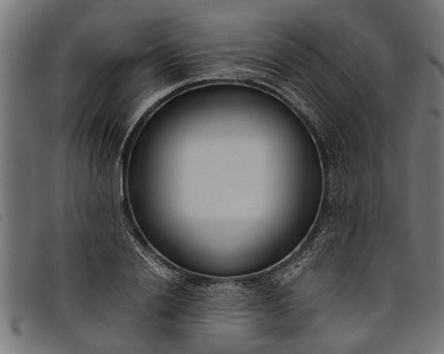 X0000097800838200803281033