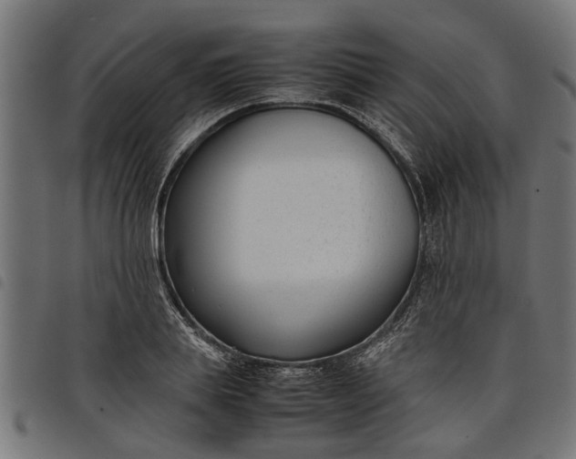 X0000097800839200803281033