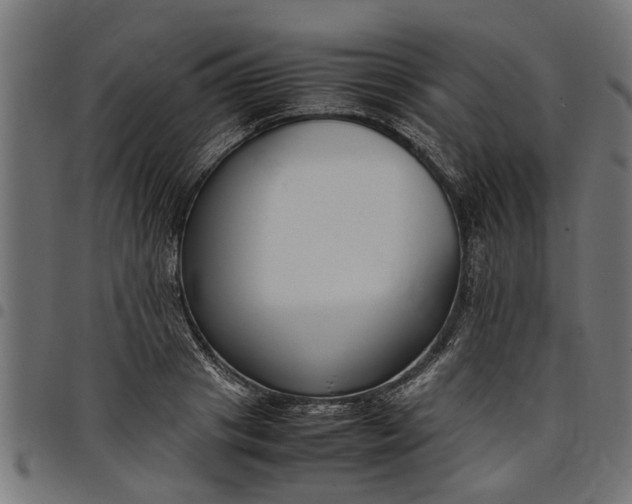 X0000097800841200803281033