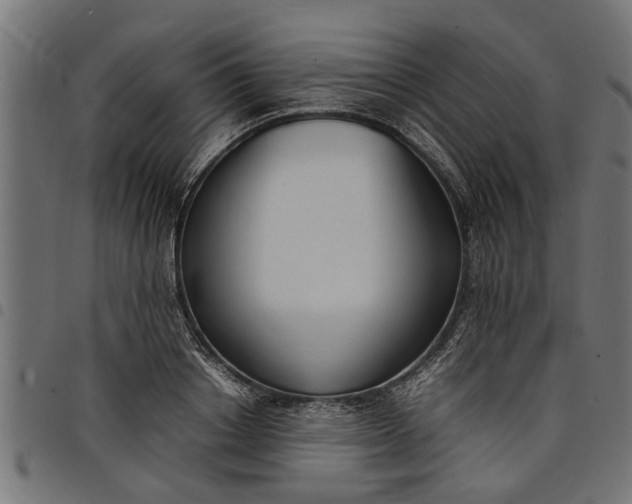 X0000097800842200803281033