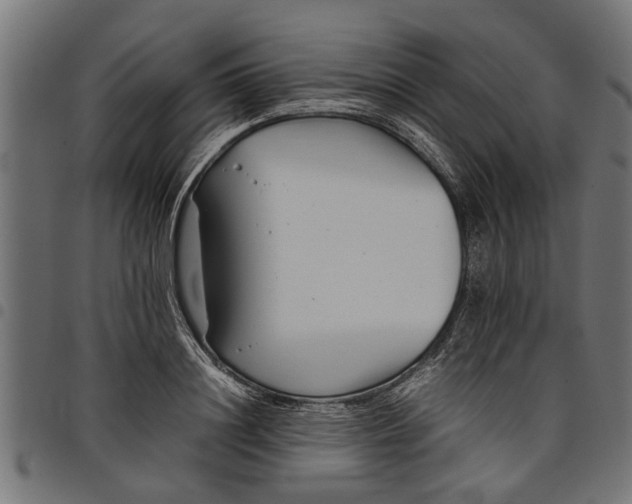 X0000097800844200803281033