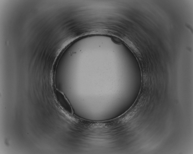 X0000097800846200803281033