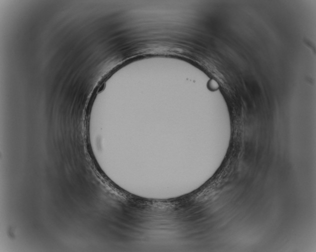 X0000097800848200803281033