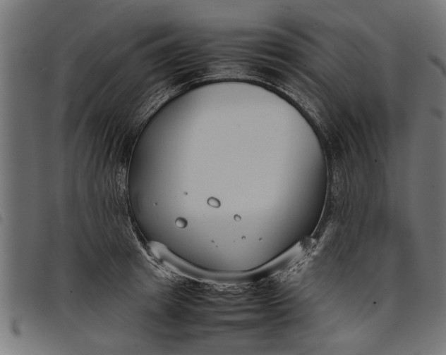 X0000097800849200803281033